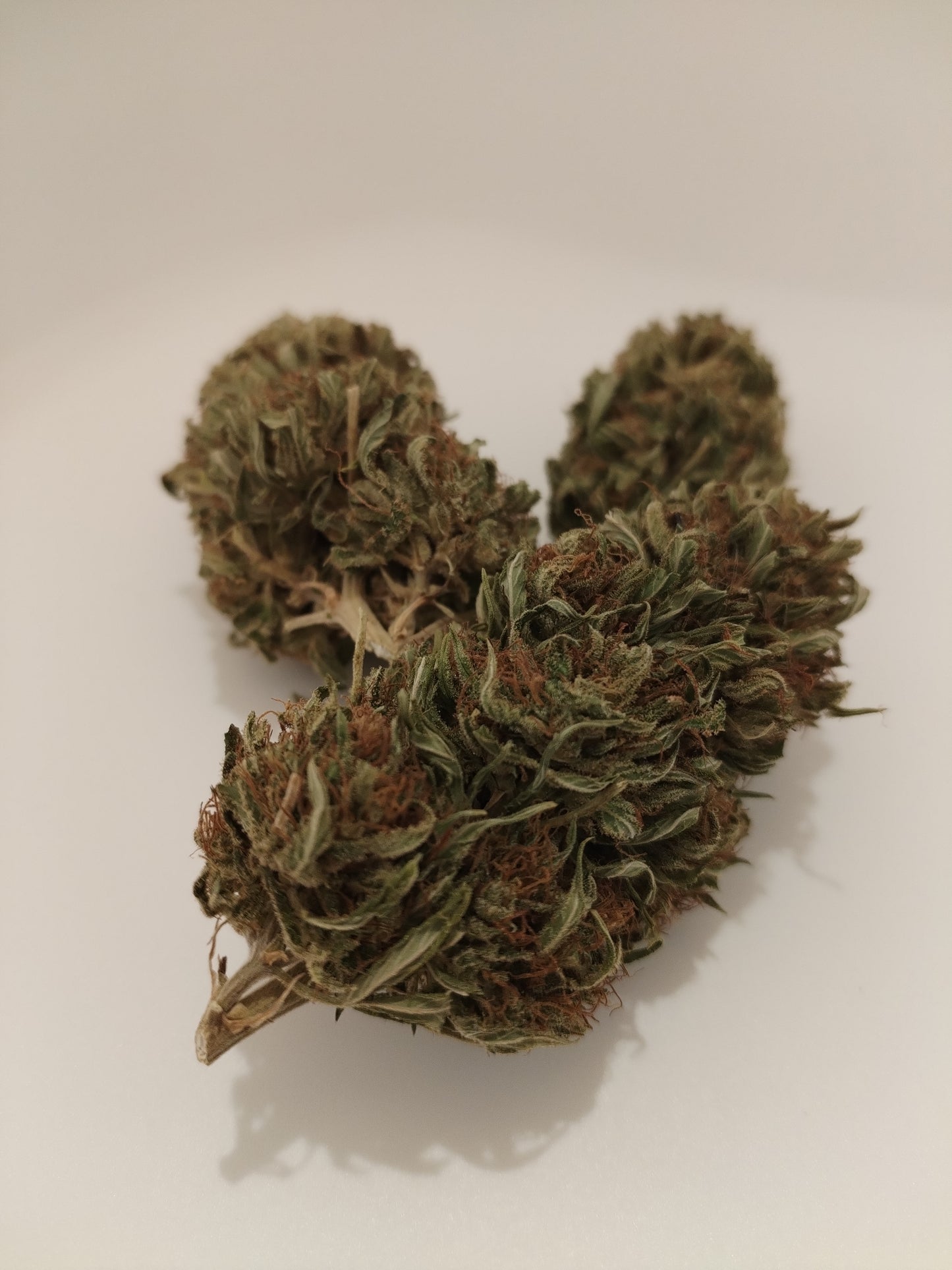 Pack découverte fleurs de CBD