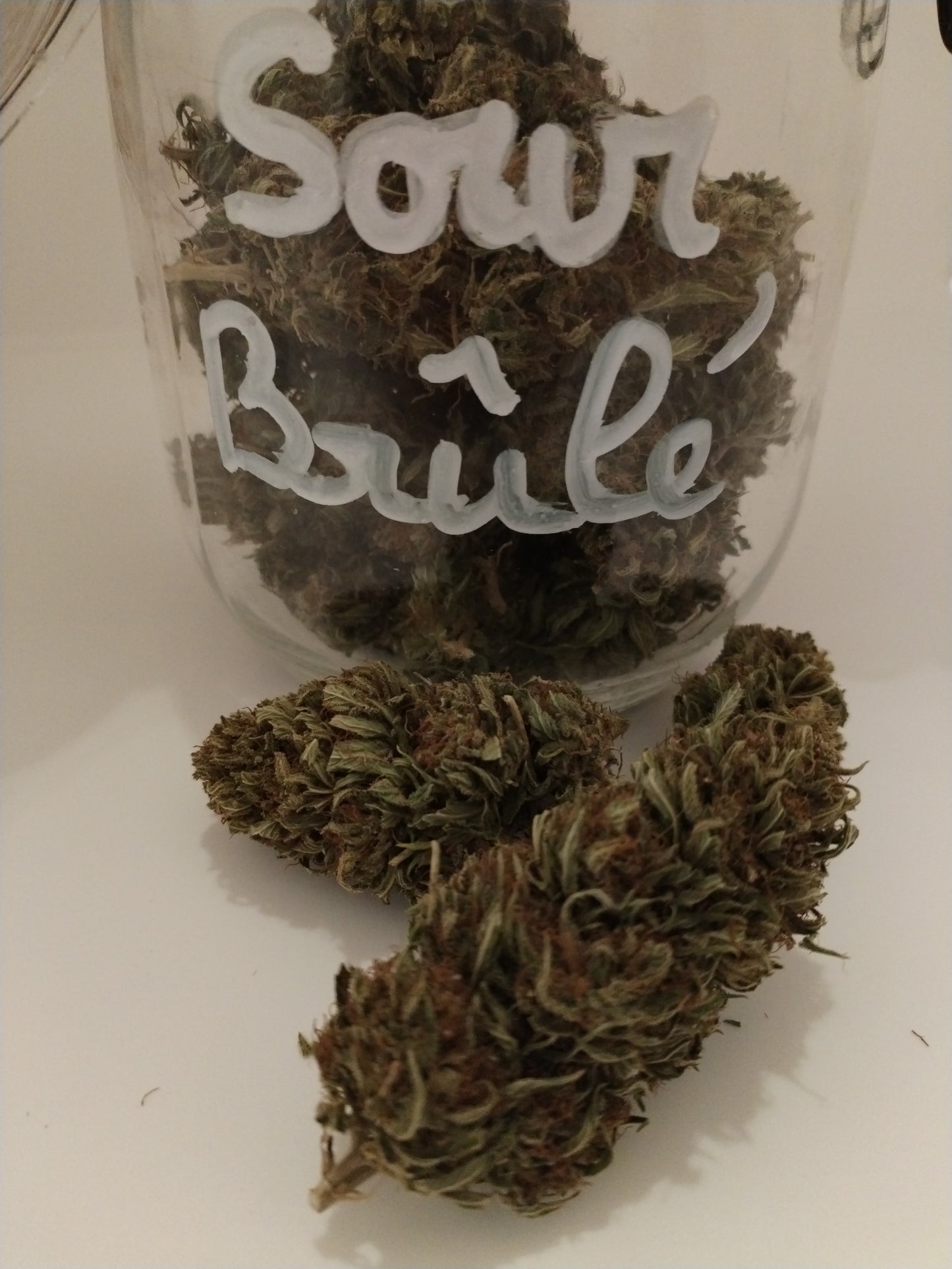 Sour Brûlé, fleur de chanvre CBD
