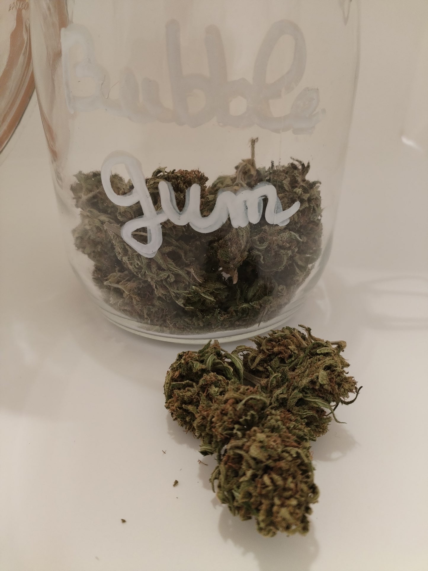 Bubble Gum, fleur de chanvre CBD