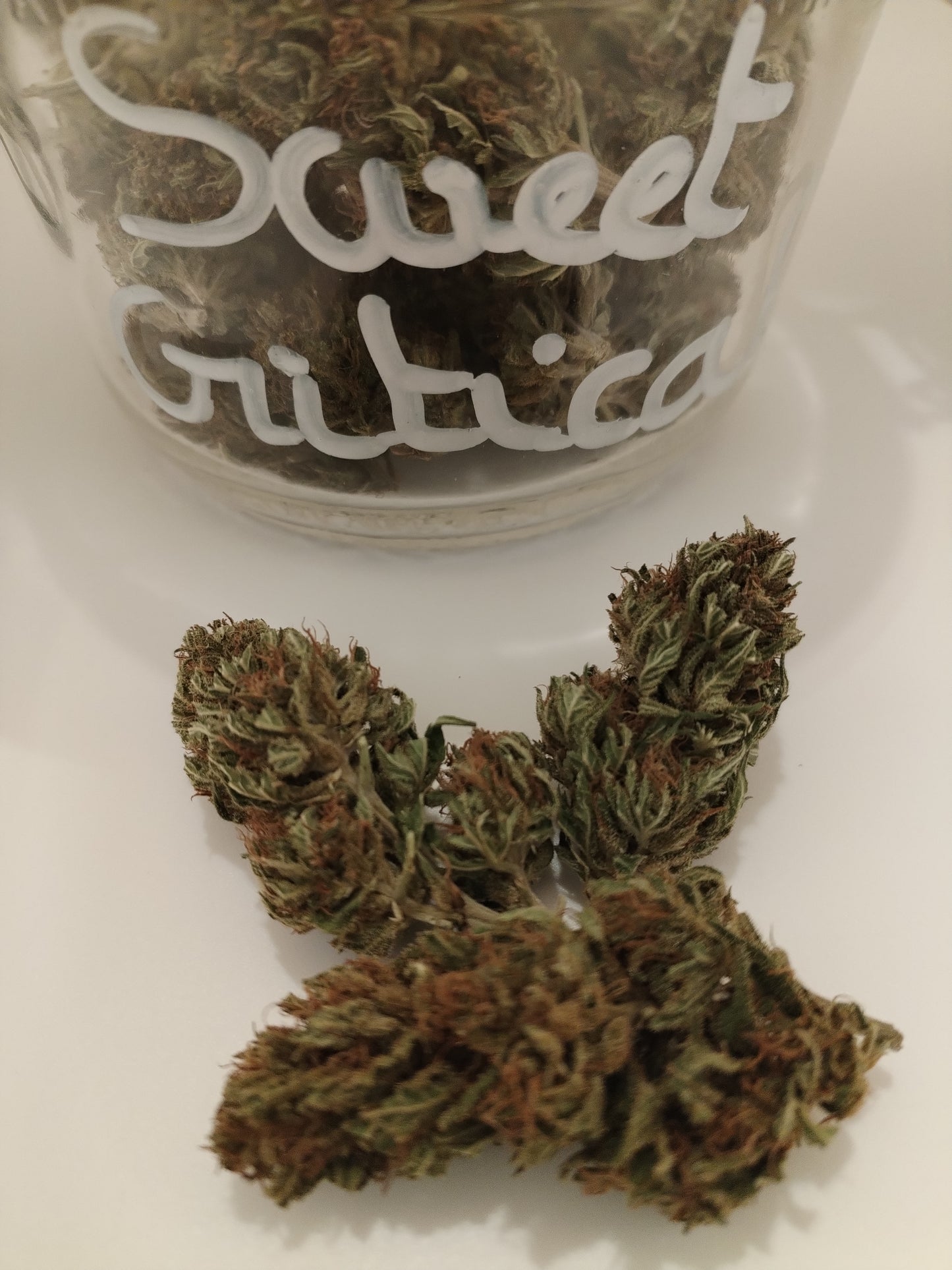 Sweat Critical, fleur de chanvre CBD