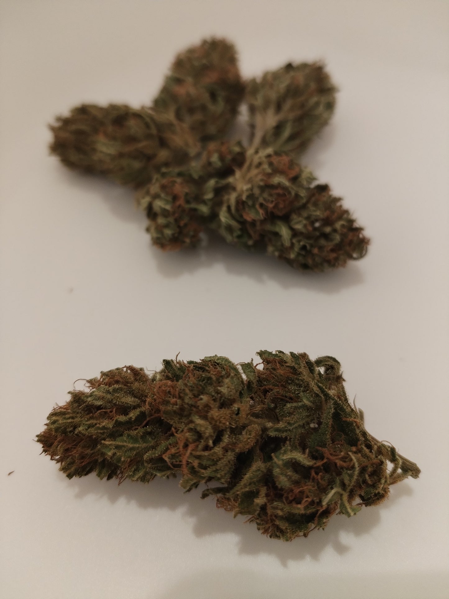 Pack découverte fleurs de CBD