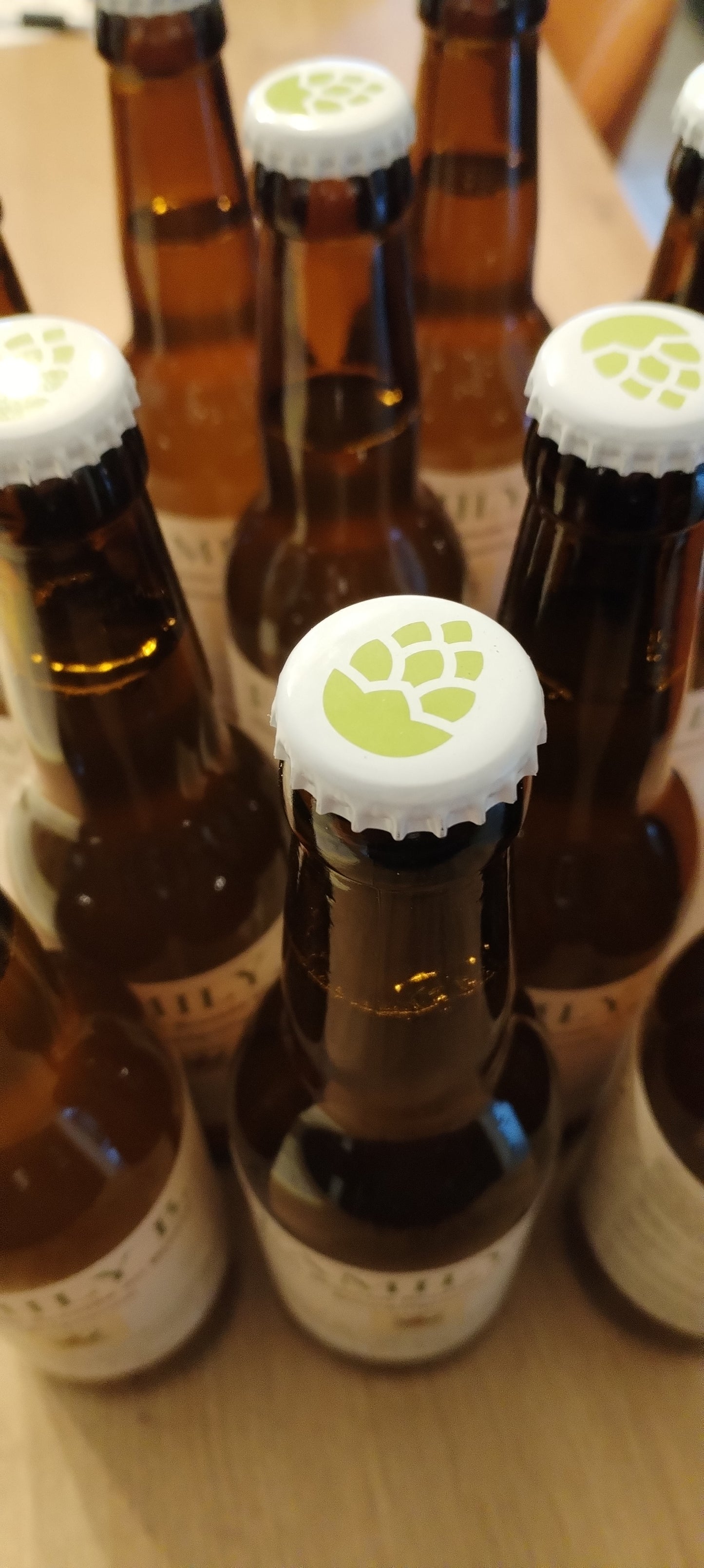 Family B. Bière artisanale au chanvre