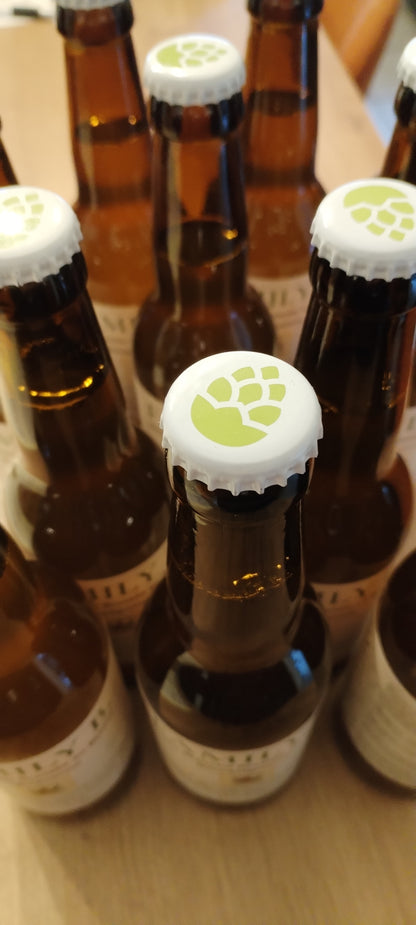 Family B. Bière artisanale au chanvre