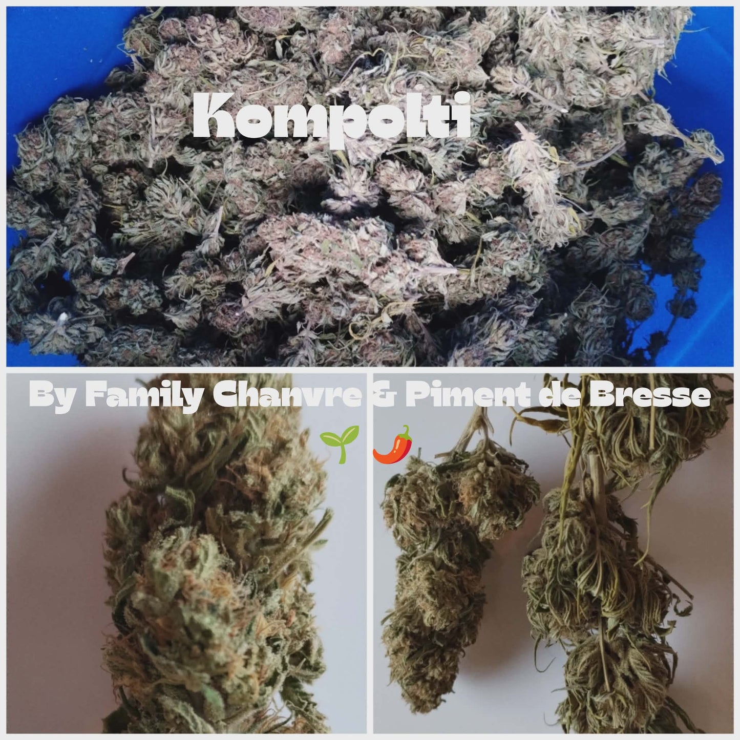 Pack découverte fleurs de CBD Prix tout doux