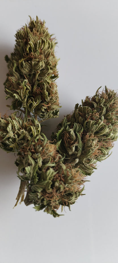 Fleur de chanvre Enectarol CBG